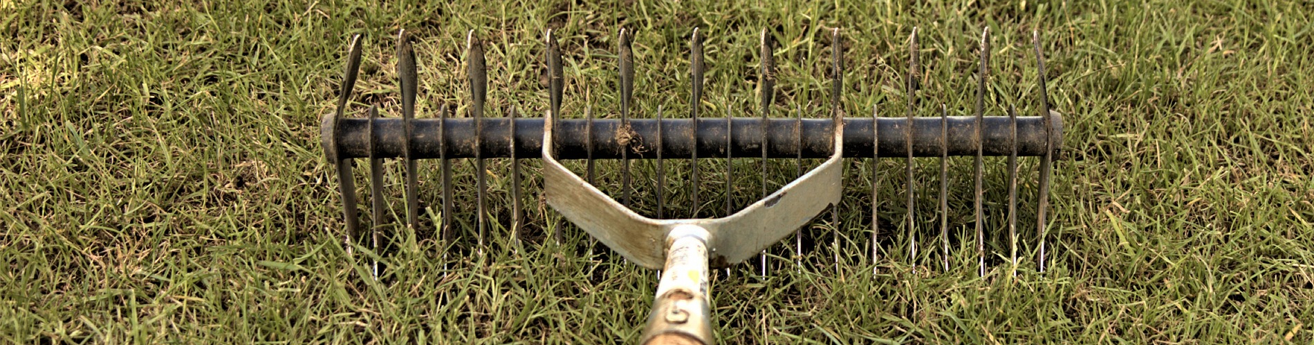 Lawn Mower